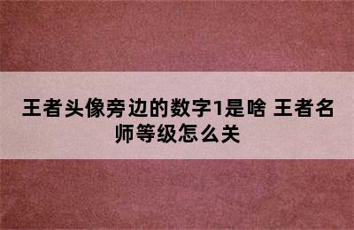 王者头像旁边的数字1是啥 王者名师等级怎么关